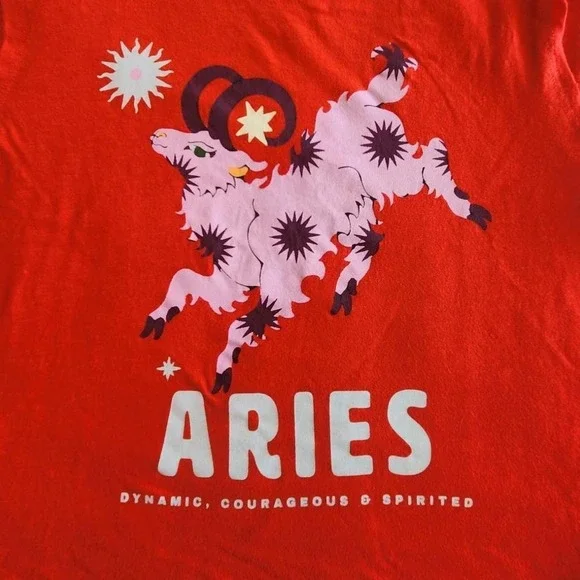 Anthropologie by Lou Benesch Aries short sleeve red cotton crop top - Picture 3 of 6